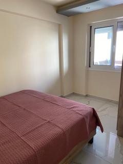 Apartman Velickovic - 8