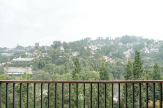 Tulip Hill View Villa 6 Bedrooms With a Private Heated Swimming Pool and a Movie Room and a Billaird Table - 1