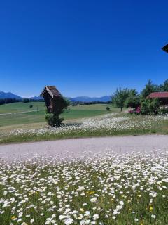 Ferienwohnung Asbichlerhof - 3