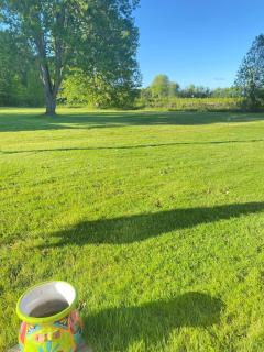River front with Fenced in yard, Dock and Pet F - 3