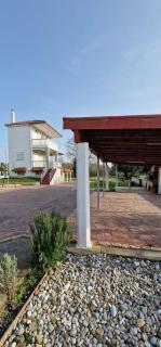 Olive Tree Villa - 4