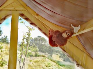 Glamping Casacocco' - 1