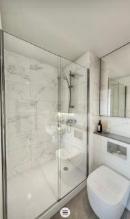 Large Luxurious Studio, Dublin18 - 4