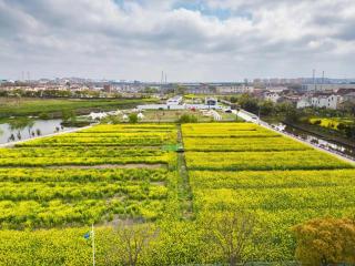 Shanghai Fangwai Resort & Homestay - 8