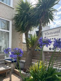Westward B&B - 9