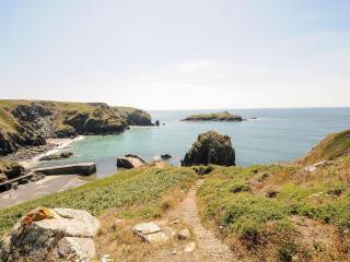 Swallow Cottage - 7