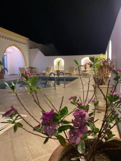 Villa Syrine Djerba - 9