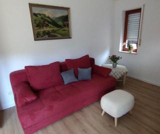 Apartment-Black-Forest - 0