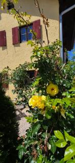 Nette's Ferienhaus - 4