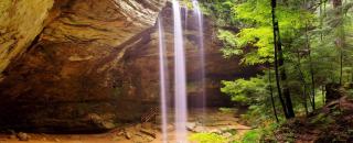 Honey Ridge Forest Retreat - 2