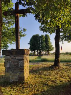 Terre - Le - Sart - 9