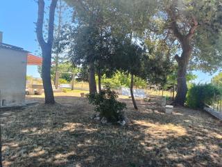Villetta casa immersa nel verde - Salento - 7