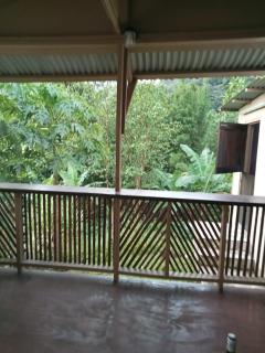 anthurium cabin - Trafalgar - 7