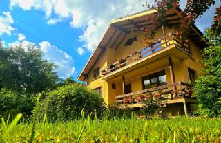 Villa Ribarica - 0