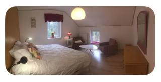 chambre dans les bois - 4
