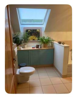 chambre dans les bois - 7