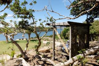 The Farmhouse Hauraki Views and Tranquil Luxury - 4