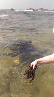 Guesthouse Kind and Love - 1