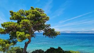 SEAVIEW RELAX, amazing apartment, Sutivan, Brač - 1