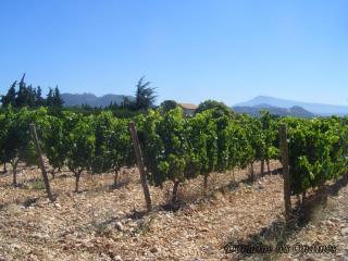 Mas Provençal La Cantabile 10 personnes - 5