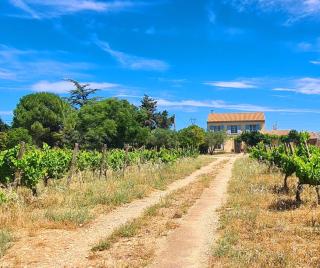 Mas Provençal La Cantabile 10 personnes - 3