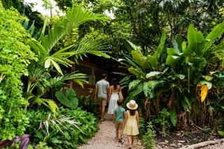 Private 2-Bedroom Jungle Cabin in Tropical Garden, San Ignacio - 9