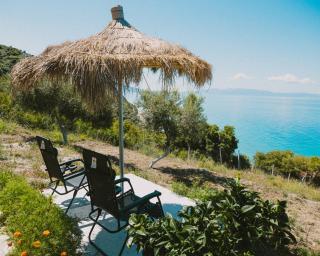 Oceanfront Oasis - 1