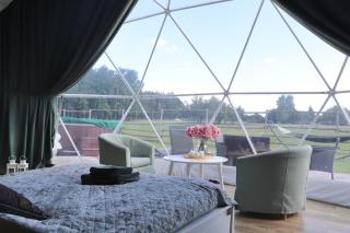 Ranczo Targówka - Domki i Glamping z balią i sauną wśród natury i zwierząt - 9