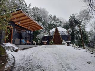Domos el Avellano De los Pellines - Camino a Termas de Chillán - 4
