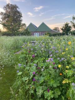 Vakantiewoning Op de Woerd - 9