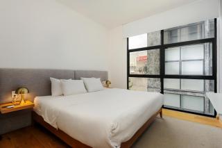 Resplendent 2BR in Roma Norte - 2