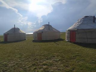 Yurt camp Marat Son-Kul - 4