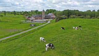 La Ferme du Parc - Gite Le Fournil - 1