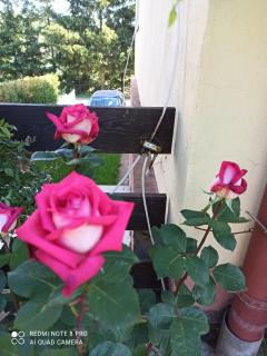Romeo i Julia - 9