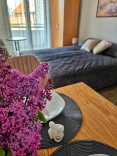 Apartman Petrus 2 - 2