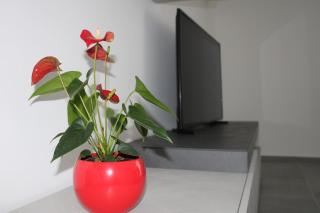 Kalloreat Home - 8