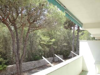 Salento Mare e Pineta - 2