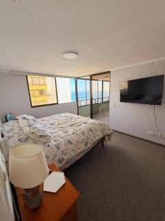 Spacious and remodeled apartment - 4