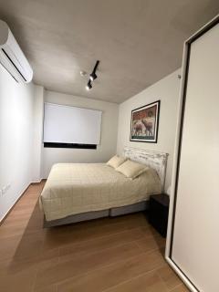 Apartment in Los Laureles - 1