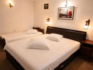 MILLENIUM GUESTHOUSE SIBIU with "PARKING" & The Perfect Stop for Bikers - Ride Motorcycle Friendly Routes - Discover Sibiu - Rest In Comfort # - 1