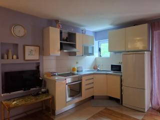 Bright and cheerful city apartment Klara - 0