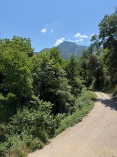 Gîte auberge du canigou - 2
