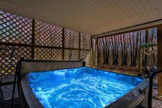 Chalet with Hot Tub, Game, Movie Room, Lake and Pool Access - 1