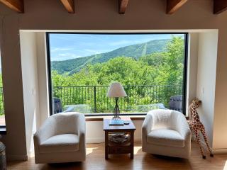 Sugarbush Upper Village Retreat - 3