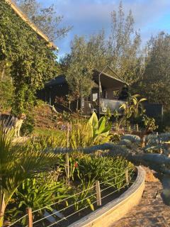 Vive Rela Tiny Houses - 1