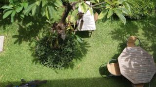 Sugiras Living - Denpasar - 1