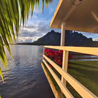 Vanilla bora bora bungalow - 8