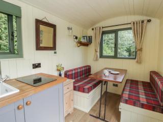 The Three Spaniels Shepherds Hut - Llanybydder - 7