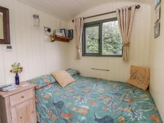The Three Spaniels Shepherds Hut - Llanybydder - 4
