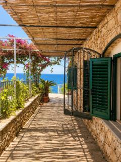 Finis Terrae - 1